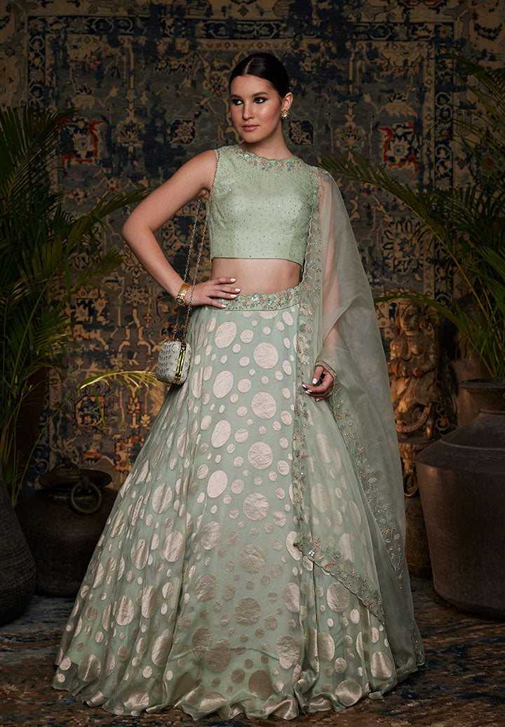 Sea Green Net Jacqurd Lehenga