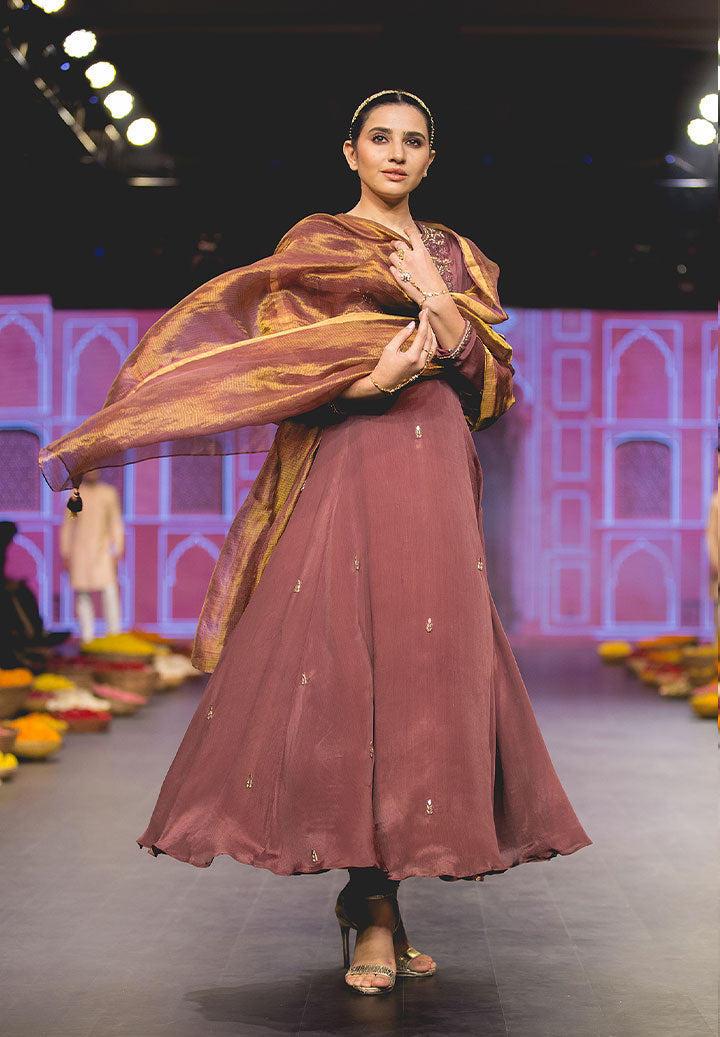 Coffe Aline Tissue Dupatta Suit