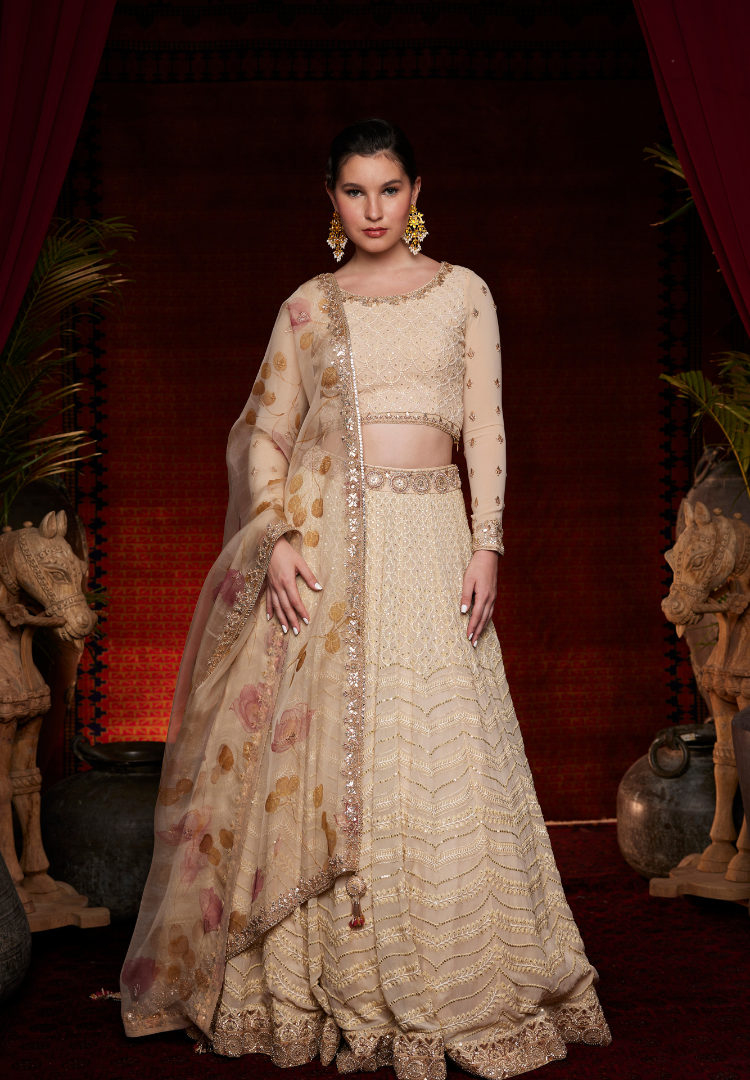 Bej Self Embroidered Handpainted Duptta set