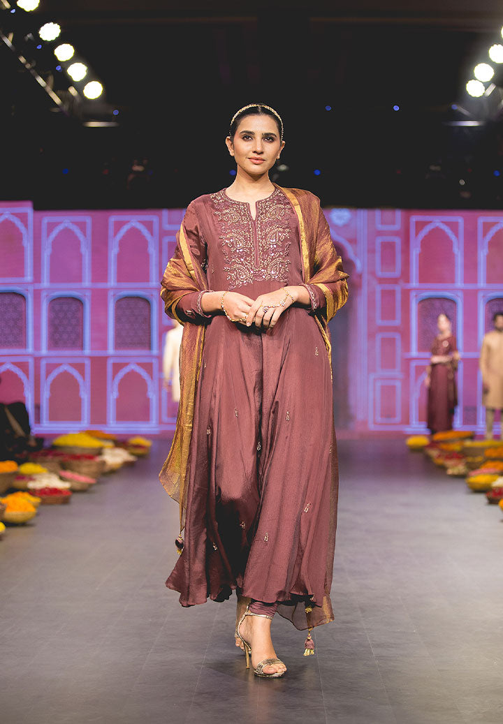 Coffe Aline Tissue Dupatta Suit
