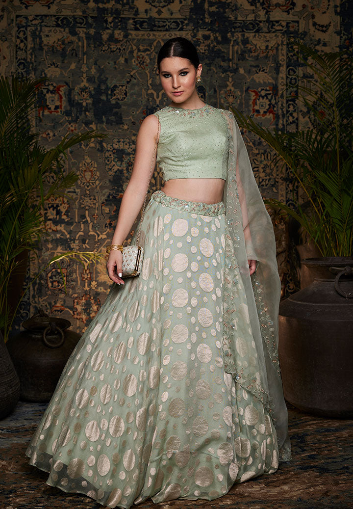Sea Green Net Jacqurd Lehenga